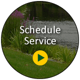 Schedule Service with Desert Gardens LV